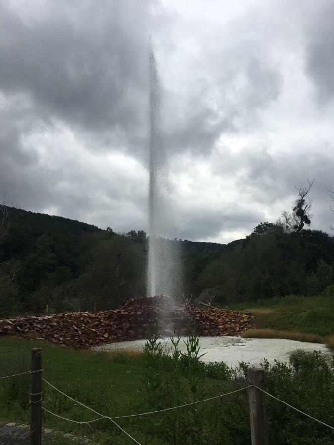 Gasthaus Stammbaum Andernach Bagian luar foto
